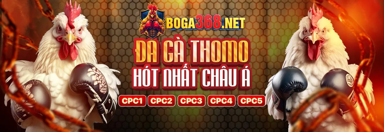 Trận đấu đá gà trực tuyến kịch tính tại 01win55 Nổ Hũ